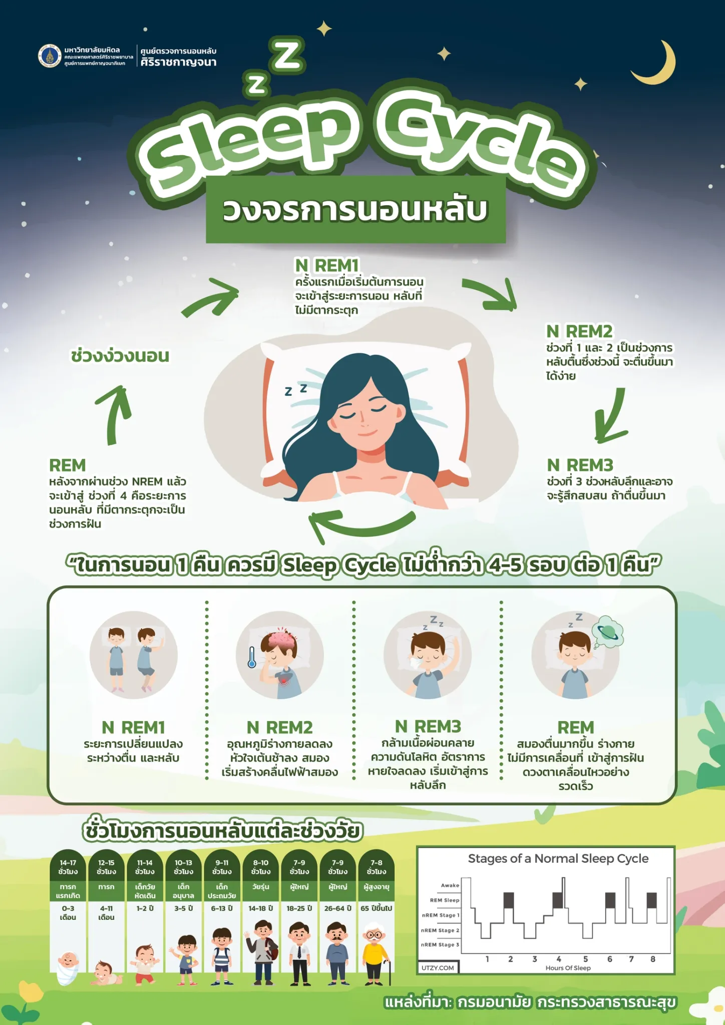 วงจรการนอนหลับ